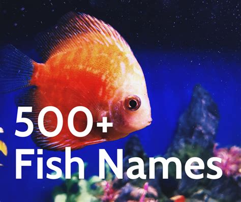 500 Unique And Exotic Fish Names Pethelpful