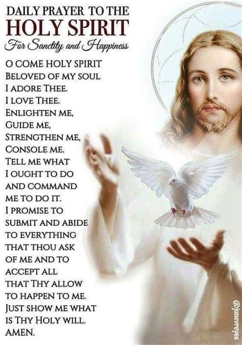 Pin By Bonnie Evans On Catholic Novenas And Prayers Holy Spirit