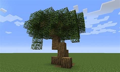 Medium Sized Oak Tree Minecraft Project