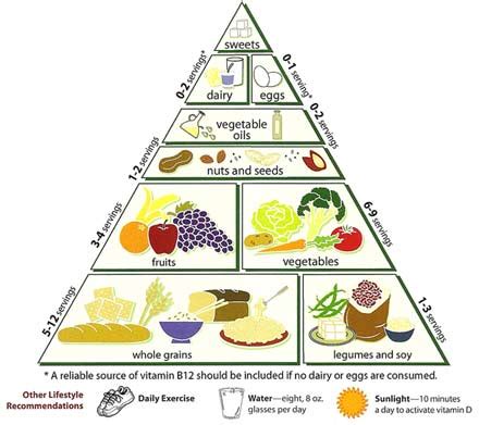 Food pyramids and plates 2. Eating right,need of the hour