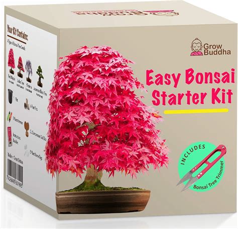 Grow Your Own Bonsai Kit Easily Grow 4 Types Of Bonsai Trees With Our