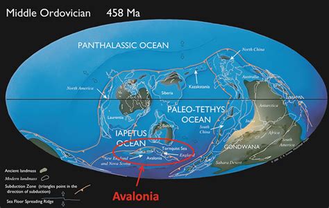 4 Paleogeography In The Middle Ordovicium Image From The Geomap