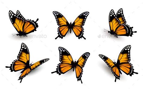 Free Free 317 Orange Butterfly Svg SVG PNG EPS DXF File