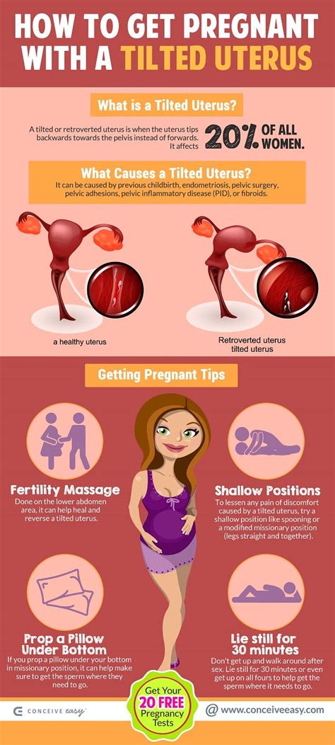 How To Get Pregnant With A Retroverted Uterus Infographic By Conceive