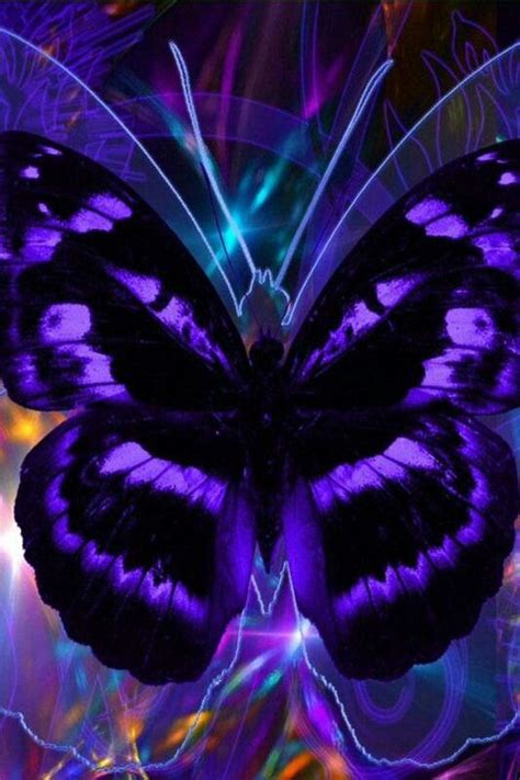 Amazing Purple Butterfly Butterfly Wallpaper Backgrounds Beautiful