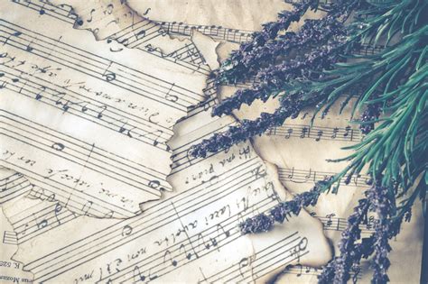 Music Notes · Free Stock Photo