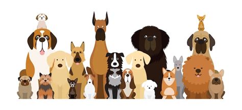 Grupo De Ilustración De Razas De Perros Varios Tamaños Vista Frontal