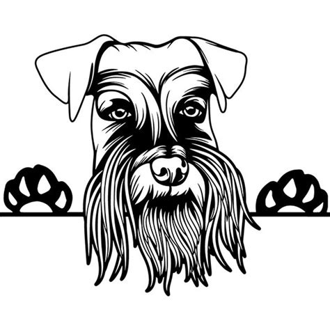 Schnauzer Line Drawing Free Download On Clipartmag
