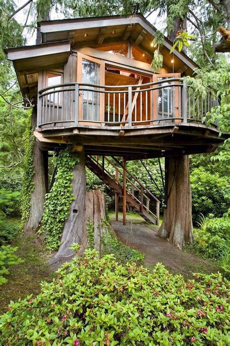 Man Cave In The Trees Beautiful Tree Houses Tree House Cool Tree Houses