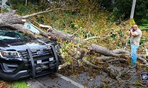 hurricane lee knocks down tree crushes police car responding to call in cohasset fall river