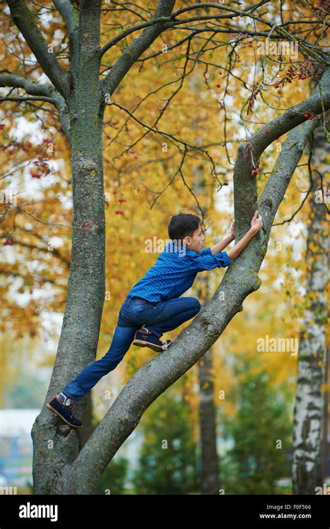 Climbing At The Tree Hi Res Stock Photography And Images Alamy