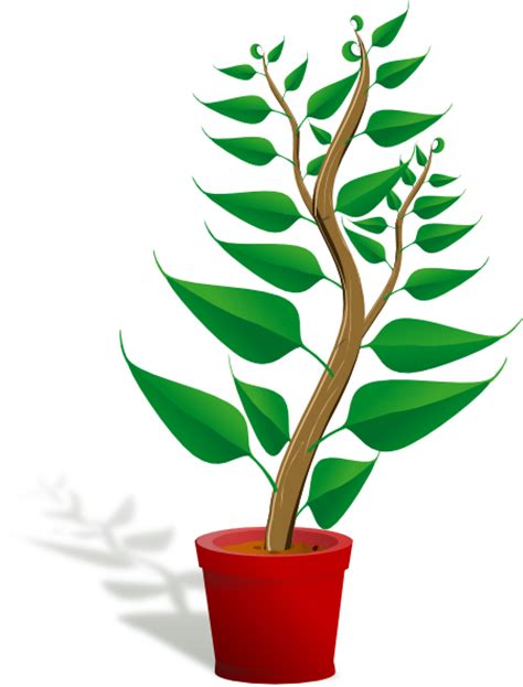 Free Animated Pictures Of Plants Download Free Clip Art Free Clip Art On Clipart Library