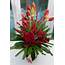 Charming Amaryllis Bouquet  Diana Kaye Florist