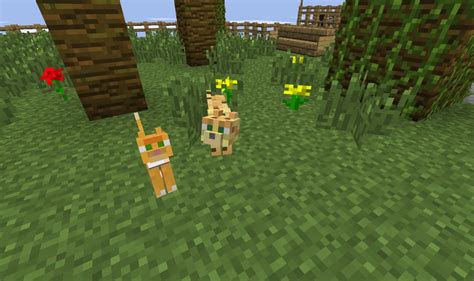 On this page of our minecraft guide, you will find information on how to tame a dog or a cat. How to tame a ocelot/cat Minecraft Blog