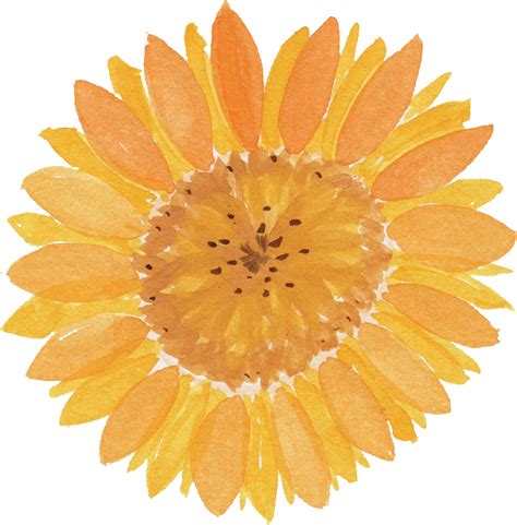 Sunflower Png Image With Transparent Background Png Arts
