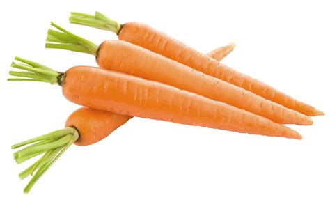 Free Carrot Transparent Background Download Free Carrot Transparent