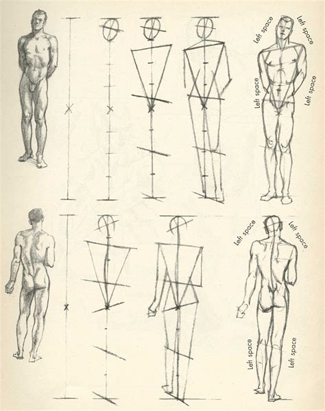 Figure Drawing Human Figure Drawing Figure Drawing Tutorial Anatomy