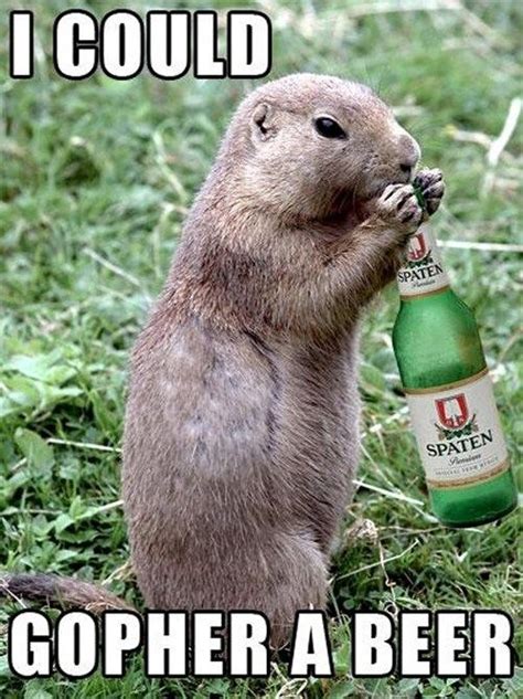 If A Gopher Could Go For A Beer Which Beer Would A Gopher Go For