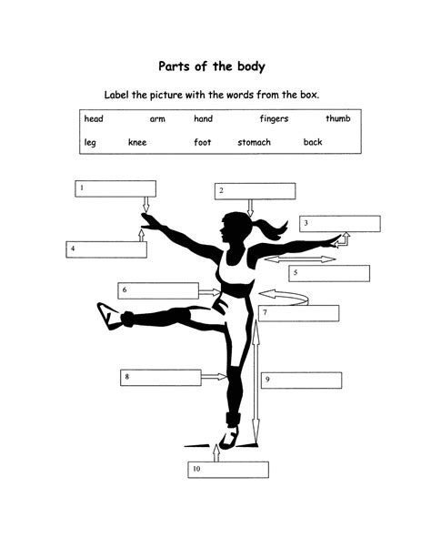 My English Blog Parts Of The Body Activities