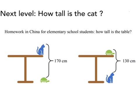 How Tall Is The Cat 9gag