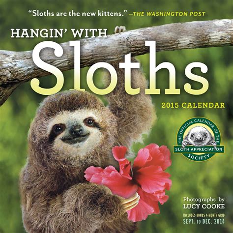 List 98 Pictures Sloth Excellent