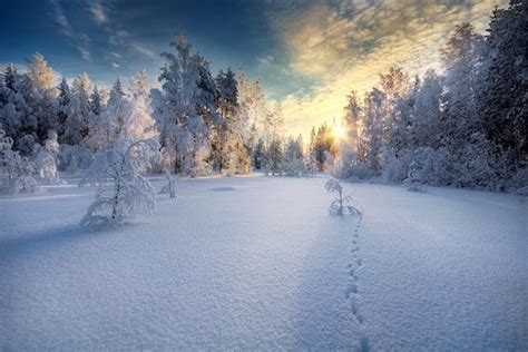 Peaceful Beautiful Winter Scenes Winter Photography Winter Landscape