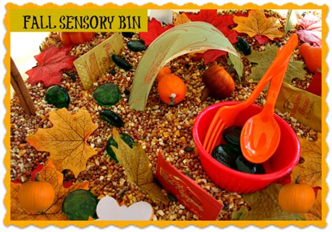 Sensory Activities: Fall Sensory Bin | Fall sensory bin ...