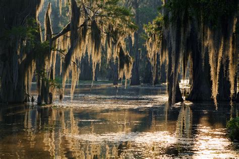 10 Best Places To Visit In Louisiana Map Touropia