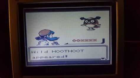 Pokemon Crystal Shiny Eevee In About 20 Eggs Youtube