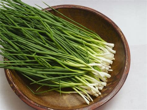 How To Harvest Chives And Keep Them Thriving For Years To Come Cactusway