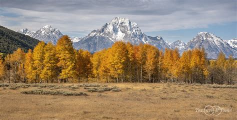Fall In Grand Teton National Park Wyoming 2941x1500 Nature