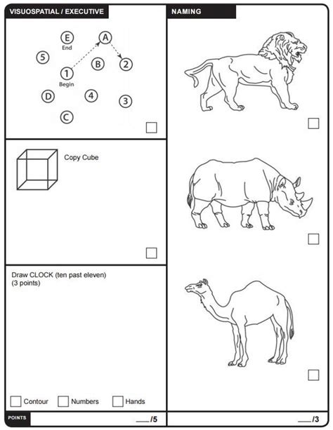 Free Printable Cognitive Tests Printable Templates