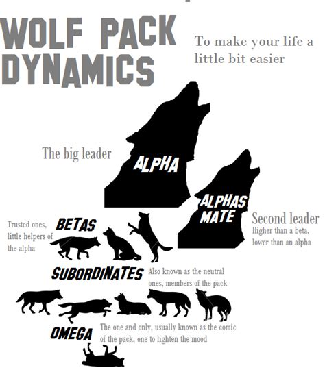Wolf Pack Dynamics By Feratu On Deviantart