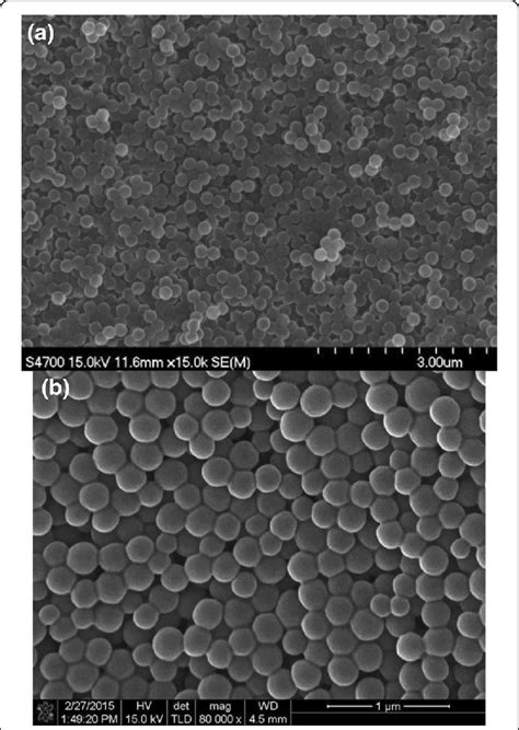 Scanning Electron Microscope Image Of Polystyrene Nanospheres Download Scientific Diagram
