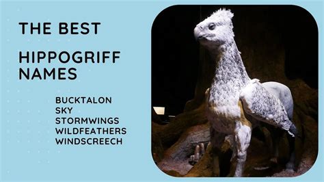 45 Best Hippogriff Names 🦅 Male And Female Cool Funny Harry Potter