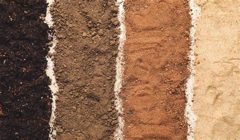 Soil Types Composition Formation And Characteristics