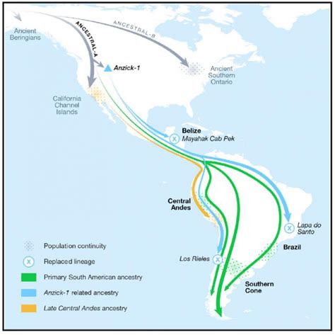 ancient dna maps early american migrations in new detail the scientist magazine®