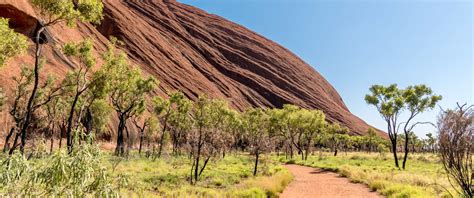 The Ultimate Alice Springs Travel Guide For 2023 See Do Save