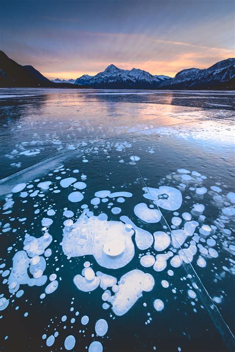 Abraham Lake Alberta Canada Ice Bubbles Winter Lake Cozy Winter Ice