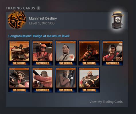 Library Concept Show Foil Badge On Games Trading Card Section Rsteam