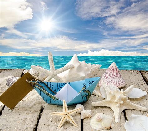 Seashells Beach Sea Shells Starfish Sunshine Hd Wallpaper Peakpx