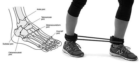 10 Best Ankle Resistance Band Exercises Fitdeft
