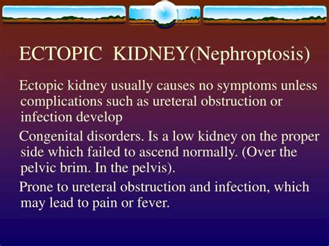 Ppt Ectopic Kidneynephroptosis Powerpoint Presentation Free