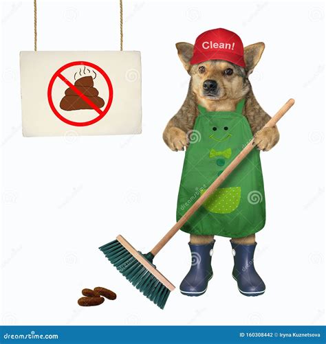 Dog Cleaning Up The Poop Stock Photo Image Of Park 160308442