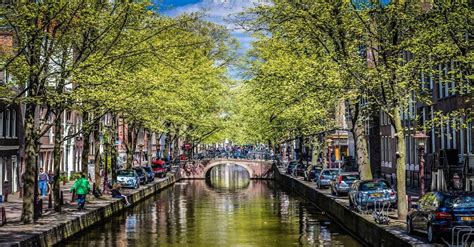 Spring In Amsterdam Pics
