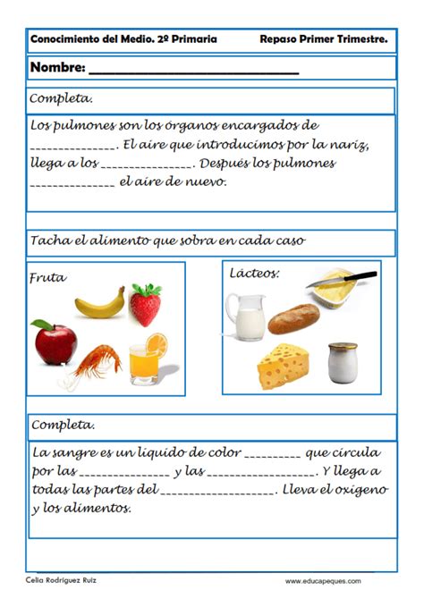 Ejercicios De Conocimiento Del Medio Para Segundo Primaria Primarias