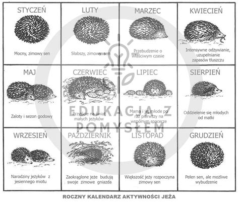 Przedstawiamy kolorowanki, które z całą pewnością pozwolą na wartościowe, wspólne spędzenie. Kolorowanki Na Całą Stronę A4