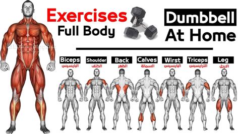 Full Body Home Dumbbell Workout Squats Chest Triceps Biceps Back Shoulder Wrist Calves