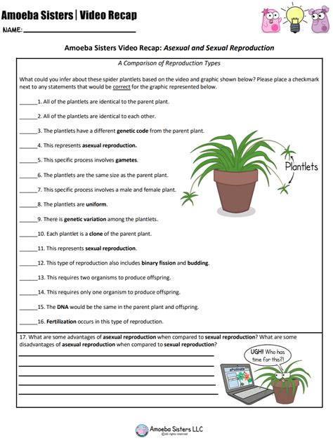 Asexual Reproduction In Plants Worksheet