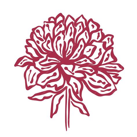Premium Vector Blossoming Peony Silhouette Hand Engraving Isolated Object